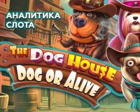 Аналитика слота The Dog House – Dog or Alive (Pragmatic Play)